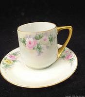 Photo of Rosenthal tea cup and saucer angled to show floral decoration and gold gilded handle.
