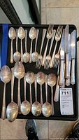 Tray layout of all 26 pieces including forks, knives, spoons