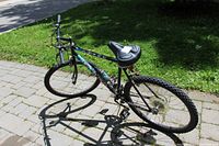 Full view of the Schwinn 20 inch mountain bike on a paved ground with grass background showing frame design and tires.