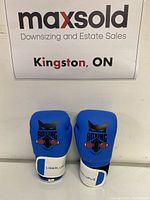 Front view of the pair of blue boxing gloves showing the graphic and wrist strap brand.