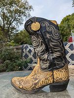 Side view showing natural python skin foot and detailed embroidered black leather shaft with gold medallion tag.