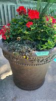 Close-up of brown ceramic planter showing decorative rim, patina and mixed flowers