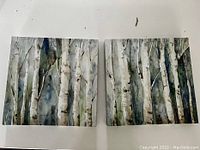 Top view of two wall art prints depicting birch trees in muted colors
