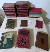 Full view of the book collection including 17 red leather-bound books stacked, various vintage titles laid out