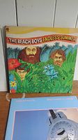 Photo of The Beach Boys Endless Summer and Dire Straits Brothers in Arms LP records showing colorful cover art and guitar image.