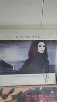 Photo showing Dead or Alive album titled 'Mad, Bad and Dangerous To Know' with clear text and album artwork of a person in dark clothes with cross necklace.