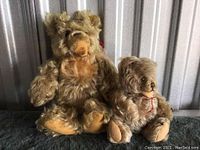Photo of two light brown mohair teddy bears sitting side by side, showing curly fur texture and overall shape.