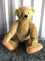 Full front view of fully jointed Steiff mohair teddy bear sitting upright showing four claws, beige fur, and button ear tag.