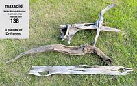 Three driftwood pieces arranged on grass showing size and texture variations.