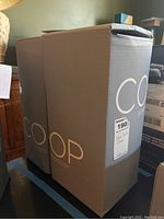 Two COOP Home Goods boxed pillows standing upright on a table, branding and product name visible on the boxes.