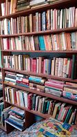 Books arranged on wooden shelves showing rows of hardcover and paperback books in various colors and sizes.