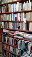 Books arranged densely on wooden shelves, various titles and formats visible.