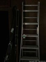 Photo showing a silver aluminum extension ladder standing upright, multiple rungs visible, with wear marks on the frame.