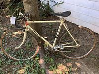 Full side view of Raleigh Javelin men's bike showing frame, tires, handlebars, seat, and pedals. Tires flat and bike appears worn.