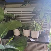 Various faux plants in white pots arranged on shelf and floor against a white background showing variety of sizes