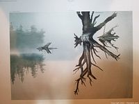Full view of the "Algonquin" artwork showing the stylized tree, water, and forest reflection.