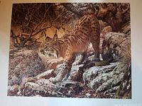 Image of the print showing the detailed depiction of a Spanish lynx walking on rocks in a natural landscape, highlighting the detailed and lifelike style of Carl Brenders.