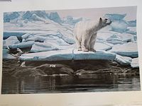 Full view of the acrylic painting showing a polar bear on ice in an Arctic setting with detailed icy waters and landscape.