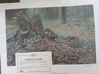 Full view of the unframed print showing the forest floor scene with tree stumps and vegetation, including the certificate information visible at the bottom.