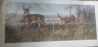Full view of the art print depicting two deer in a forest clearing, unframed, showing the image and natural color tones.