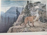 Print showing mountain lion on rocky landscape with mountains and pine trees in background.