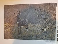 Full view of the limited edition print showing the lesser kudu in natural habitat at dusk.