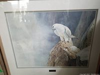 Framed artwork showing a white gyrfalcon perched on a rocky outcrop, misty background, plaque mounted below image.