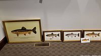 Four framed fish prints arranged side by side showcasing different fish species, all in gold tone frames on a carpeted floor under moderate lighting.