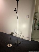 Photo showing two floor lamps: a tall black minimalist lamp with two lamp heads, and a shorter silver metal lamp with snake tube neck.