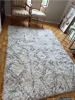 View of entire shag rug showing size and placement with chairs for scale