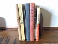Photo of eight chess books standing upright showing varied colors and titles related to chess strategies, openings, and problems.