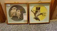 Both Japanese feather owl shadow boxes shown side by side on carpeted floor against wall