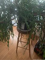 Christmas cactus plant with green segmented leaves and some pink flowers placed on a round wooden stool on a hardwood floor near a window. The plant is in a black plastic pot with a saucer beneath it.