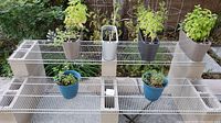 Front view of the entire raised planter setup outdoors, showing cinder blocks, metal shelves, and multiple Lechuza planters with various herbs and tomato plants