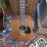 Full front view of guitar body showing natural finish and black pickguard