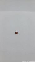 Photo of 1.28 carat oval cut Spessartite garnet gemstone on white background.