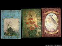Photo showing all three antique books side by side, covers visible