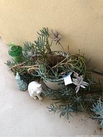 Potted succulent plant with two yard decor figurines (white ceramic rabbit, green gnome) and some plant stems laid out on ground.