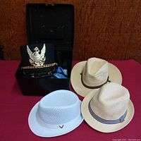 Group photo showing four hats on red surface: black parade hat in case with eagle emblem, three light-colored sun fedora hats.