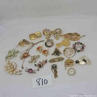 Full assortment of vintage goldtone jewelry including pins, brooches, earrings, and necklace displayed on white background with lot number 810