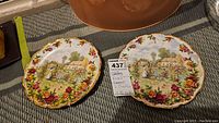 Two Royal Albert Old Country Roses collector plates with intricate floral borders and cottage garden scenes. Plates rest on a striped fabric and include a tag.