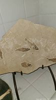 Limestone slab showing fish fossils on iron stand, displayed on tiled wall corner