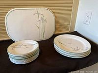 Overall view of stacked Corelle plates and placemat showing floral iris pattern and green rim.
