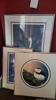 Three framed prints stacked showing a puffin, swan, and another bird illustration, glass reflects light, frames in silver/metallic finish.