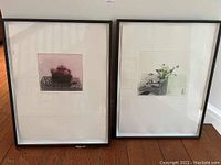 Both framed limited edition etchings side by side showing overall presentation and framing