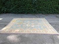 Full view of the rug laid out showing the overall pattern and condition in daylight outdoors.