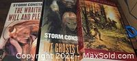 Three books by Storm Constantine showing titles and cover designs.