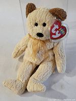 Front view of the cream and brown bear Beanie Baby with TY heart-shaped tag and golden neck ribbon, sitting upright.