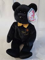 Full front view of black Beanie Baby bear The End showing entire body and attached TY tag in case.