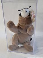 Front view of Ty Beanie Baby plush inside clear plastic display case showing plush details and tag